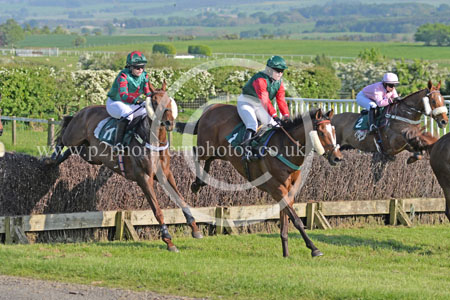 Hay24_0433 copy