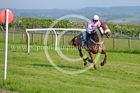 Hay24_0462 copy