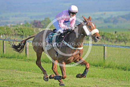 Hay24_0465 copy