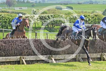 Hay24_0015 copy