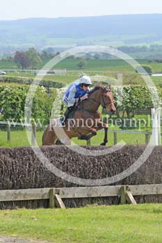Hay24_0016 copy