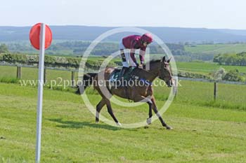 Hay24_0117 copy