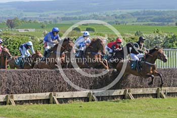 Hay24_0144 copy