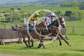 Hay24_0153 copy