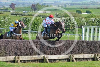 Hay24_0185 copy