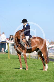 Hay24_0407 copy