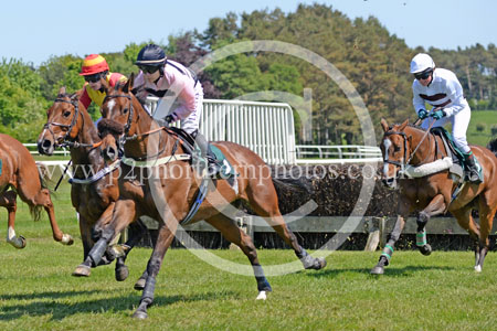 Hay25_0016 copy