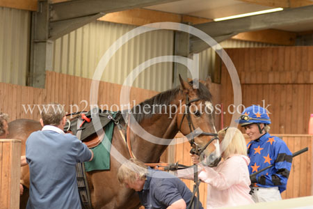 Hay25_0040 copy