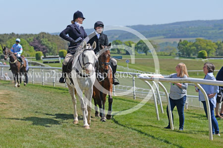 Hay25_0043 copy