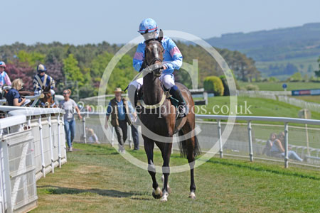 Hay25_0044 copy