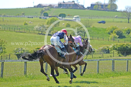 Hay25_0086 copy