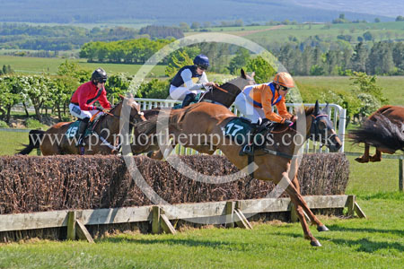 Hay25_0096 copy