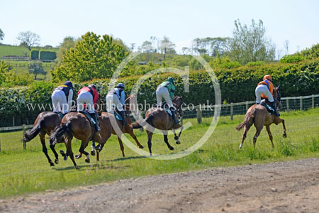 Hay25_0097 copy