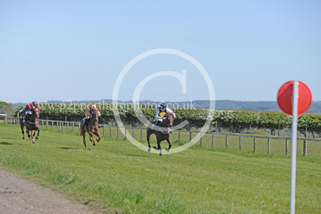 Hay25_0104 copy