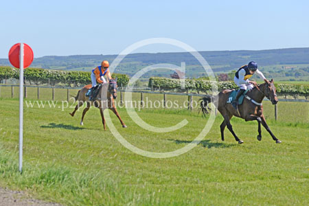 Hay25_0106 copy
