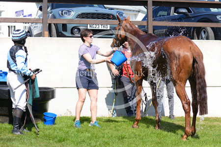 Hay25_0120 copy