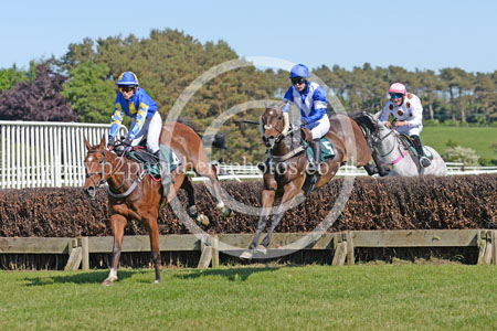Hay25_0139 copy