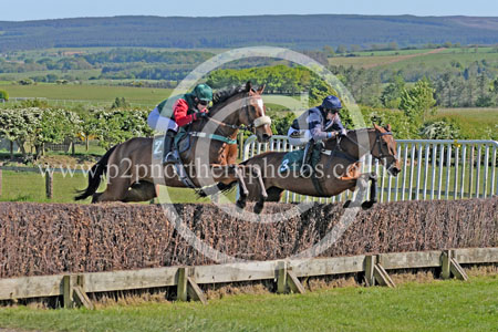 Hay25_0166 copy