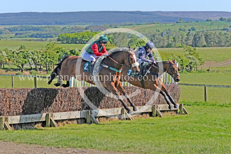 Hay25_0167 copy