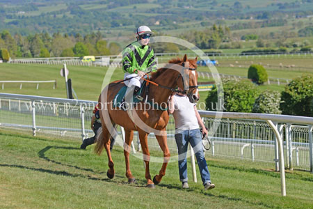 Hay25_0200 copy