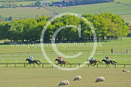 Hay25_0214 copy