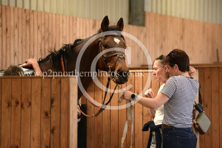 Hay25_0242 copy