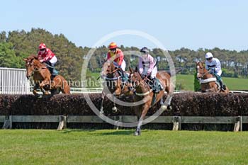 Hay25_0014 copy