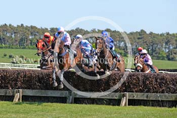 Hay25_0070 copy