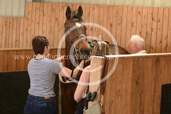 Hay25_0244 copy