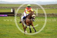 LAUD17_0004 copy