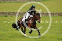 LAUD17_0014 copy