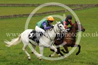 LAUD17_0037 copy