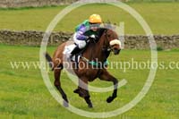 LAUD17_0048 copy