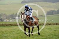 LAUD17_0100 copy