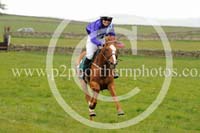 LAUD17_0203 copy