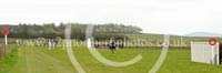 LAUD17_0265 copy