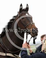 LAUD17_0277 copy