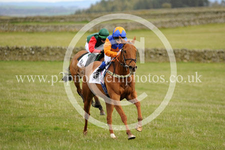 LD23_0019 copy