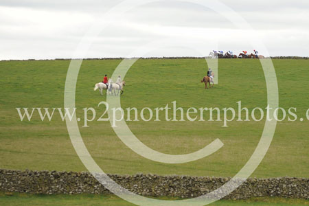 LD23_0078 copy