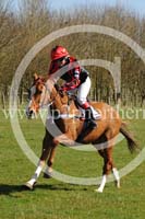 MOR16_0115 copy