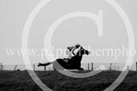 MOR17_00472 copy