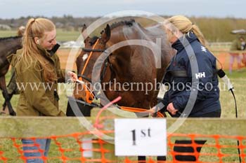 MOR25_0140 copy