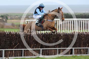 RRC14_131 copy