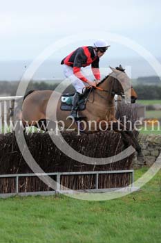 RRC14_428 copy