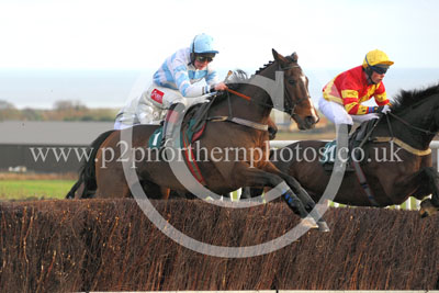 RRC15_037 copy