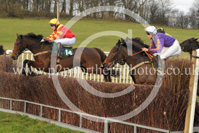 RRC15_130 copy