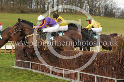 RRC15_132 copy
