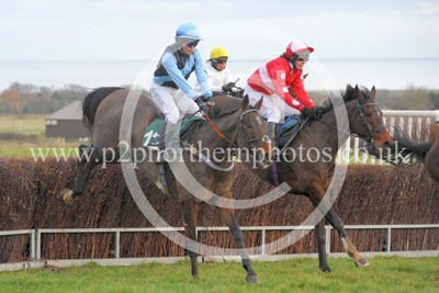 RRC15_207 copy