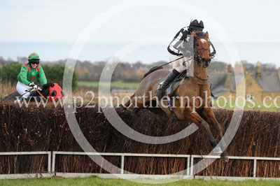 RRC15_227 copy
