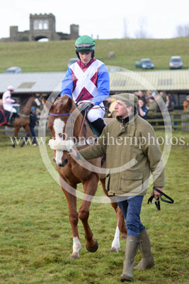 RRC15_253 copy